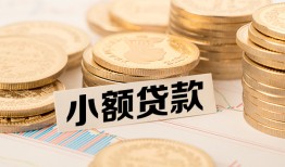 深圳民间哪里有小额贷款-深圳民间身份证贷款平台-深圳民间民间短借